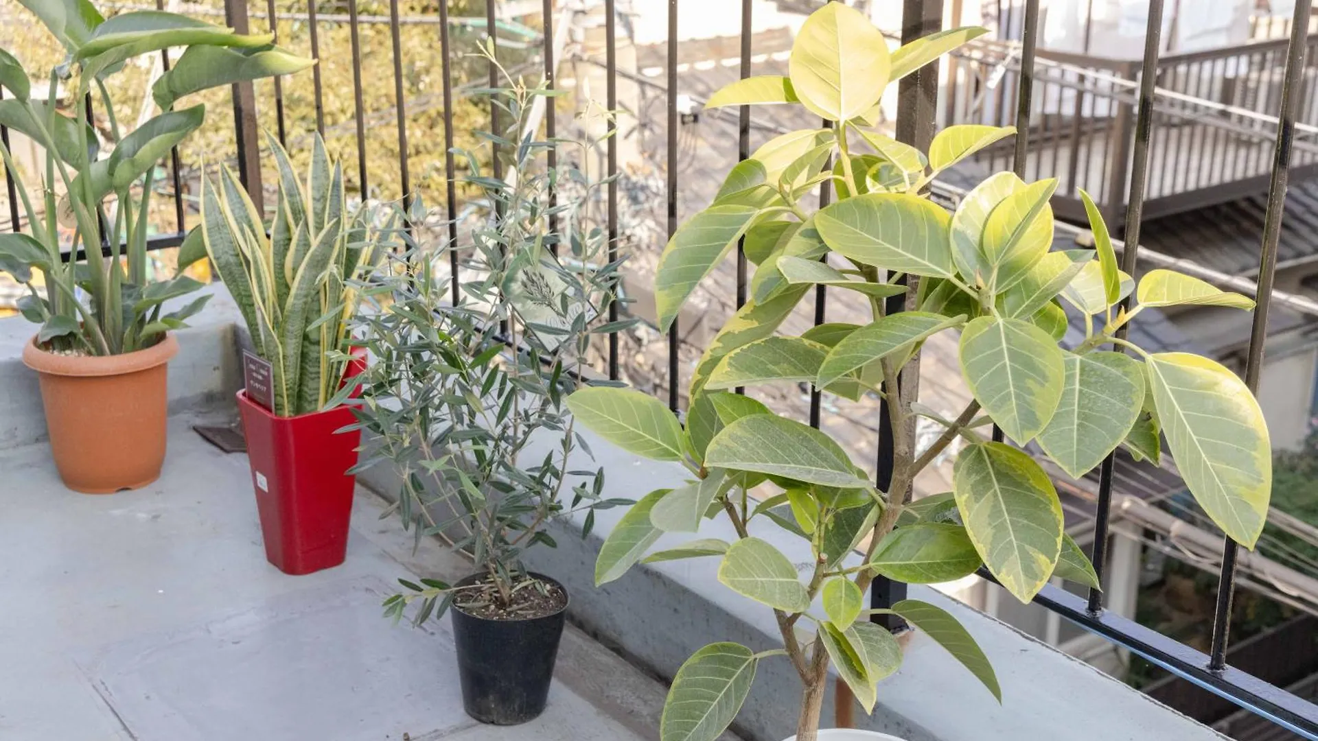 شقة Buran House طوكيو اليابان